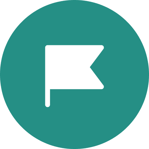 Flag icon